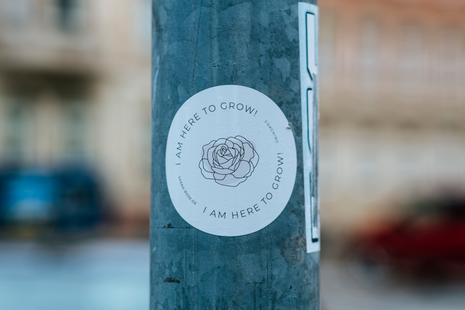 Unlock Your Potential with Porcupine Life